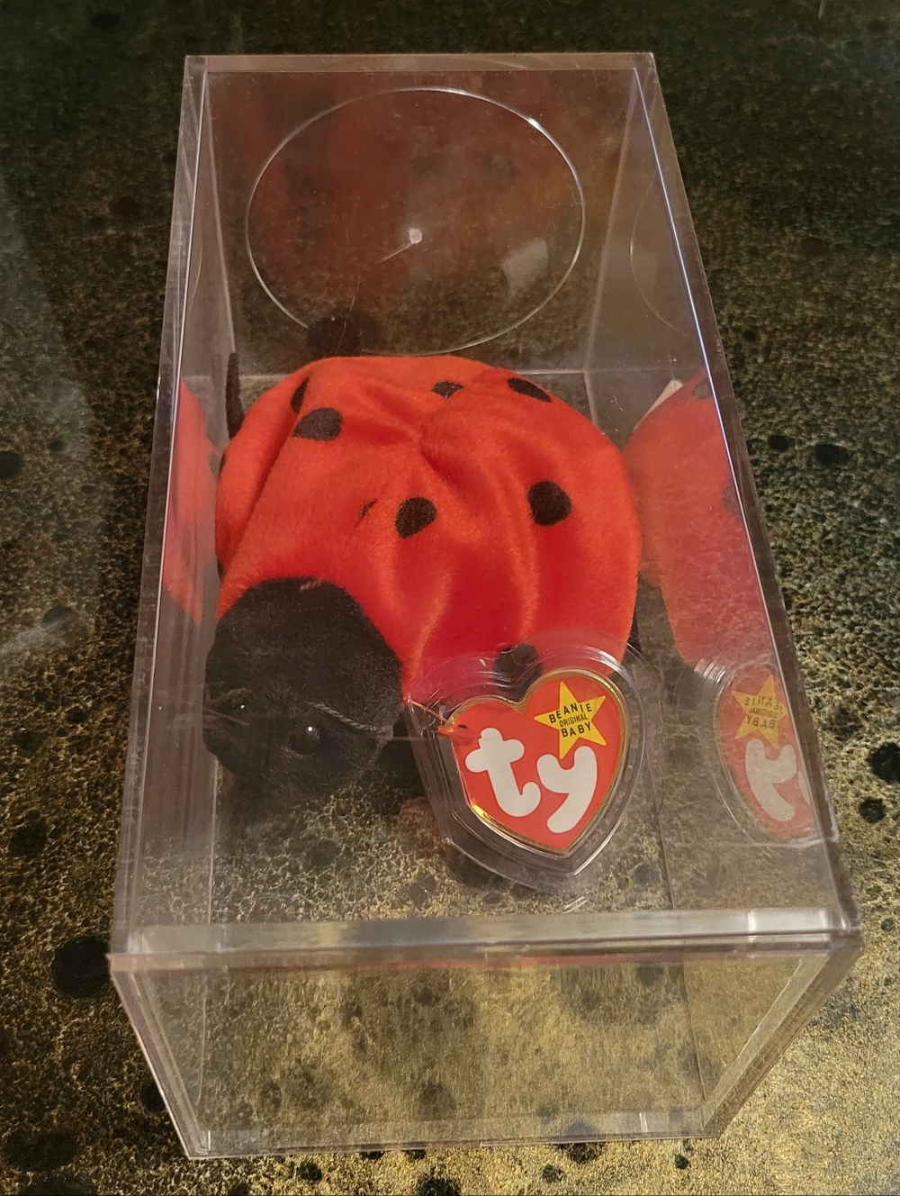 Ty Beanie Babies Luck The Ladybug With Tag Protector & Display Case